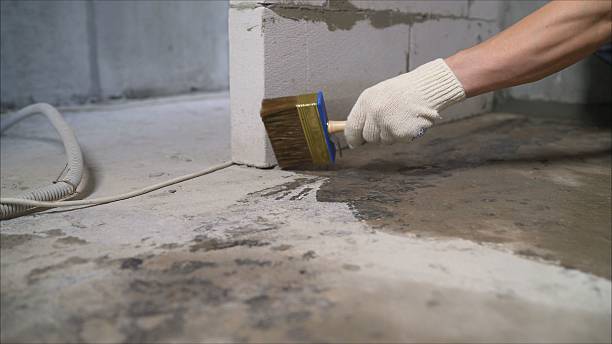 SJ Waterproofing Pros Waterproofing coverage map for Riverview, MI and surrounding area